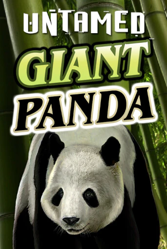 Untamed - Giant Panda игровой автомат | Казино Кристалл играть бесплатно